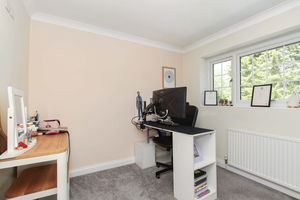 Photo 17- click for photo gallery